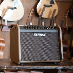 Fishman Loudbox Mini Charge (PRO-LBC-500)