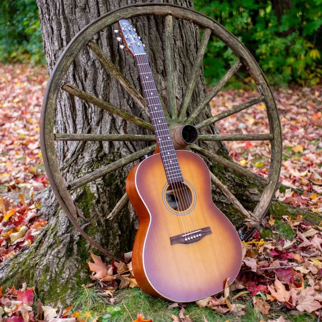 Seagull Entourage Folk Acoustic Guitar ~ Rustic Burst