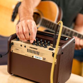 Fishman Loudbox Micro Acoustic Amp (PRO-LBT-400)