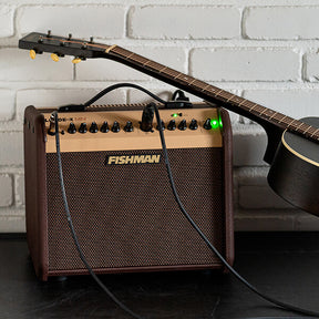 Fishman Loudbox Mini Acoustic Amp (PRO-LBT-500)